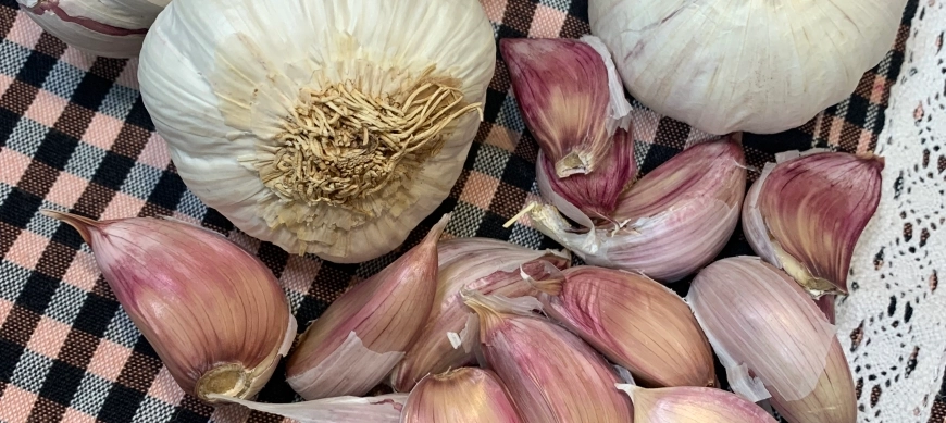 CÓMO PELAR CANTIDAD DE AJOS A LA VEZ