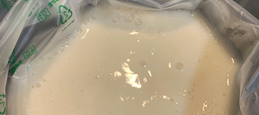 CREMA PASTELERA VEGANA: SIN GLUTEN, SIN HUEVOS y SIN LACTOSA