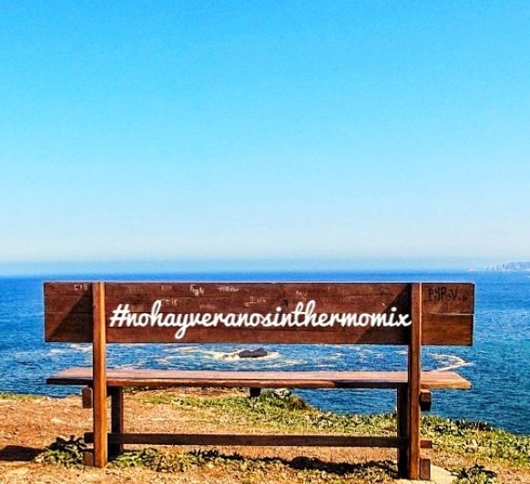 #nohayveranosinthermomix